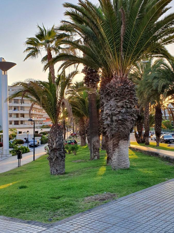 Spectacular Renovated Apartment, 5 Min To Camison Beach, With Aircon Arona  Eksteriør billede